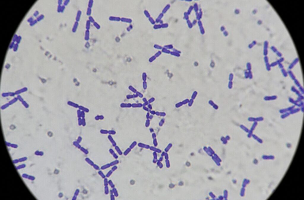 Lactobacillus Reuteri for Oral Health: The Science Behind the Strain
